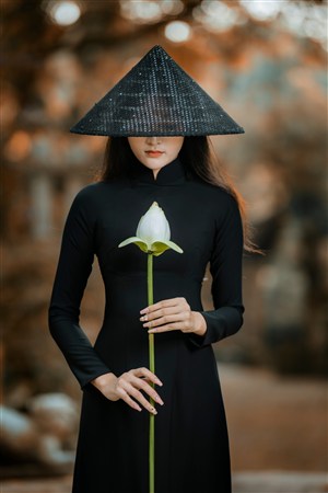 soicauxoso miền bắc